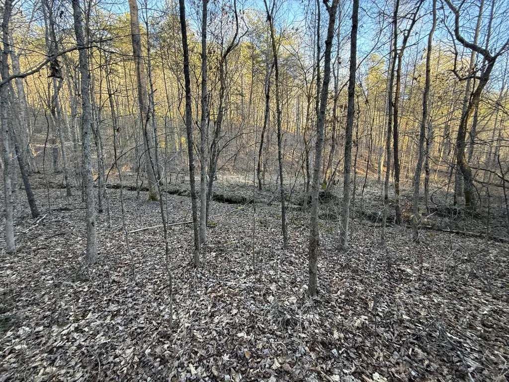 9991 Red Hill Road Livingston KY 40445
