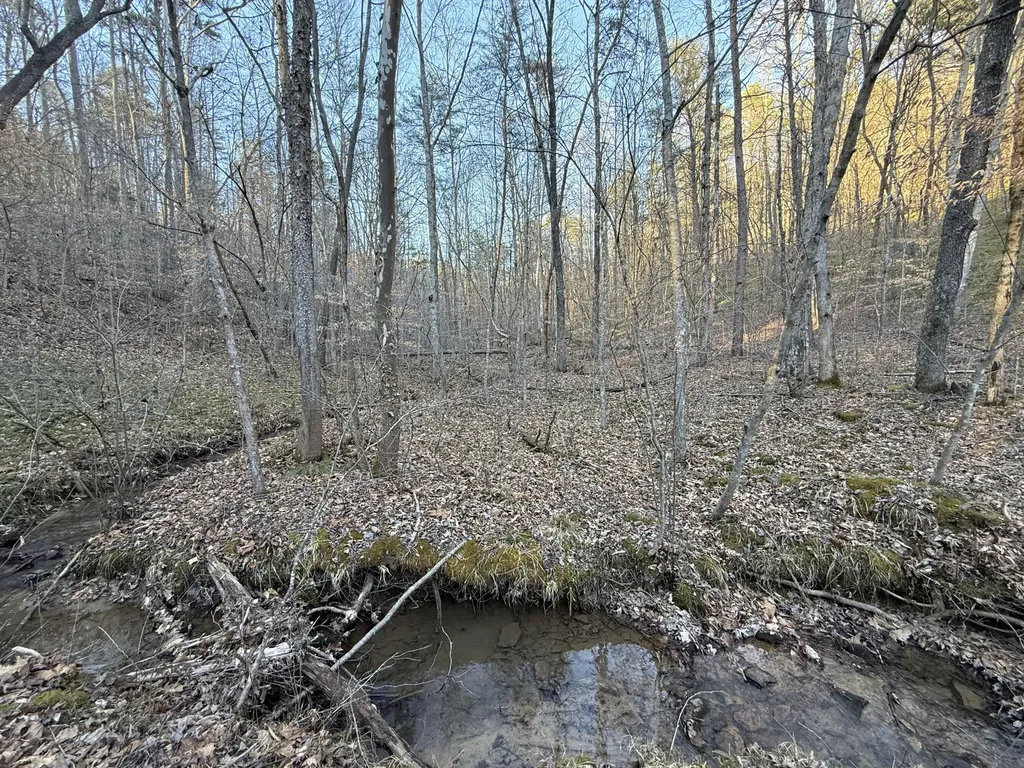 9991 Red Hill Road Livingston KY 40445