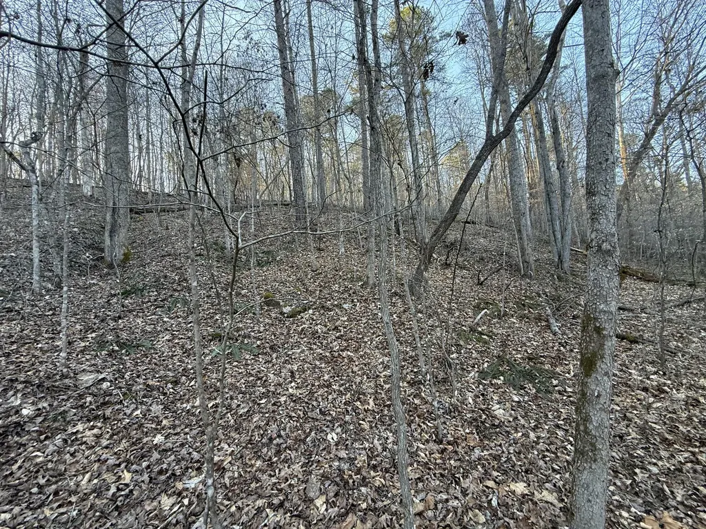 9991 Red Hill Road Livingston KY 40445