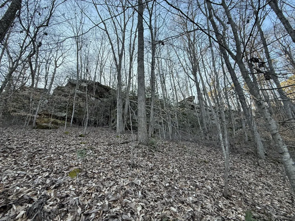 9991 Red Hill Road Livingston KY 40445