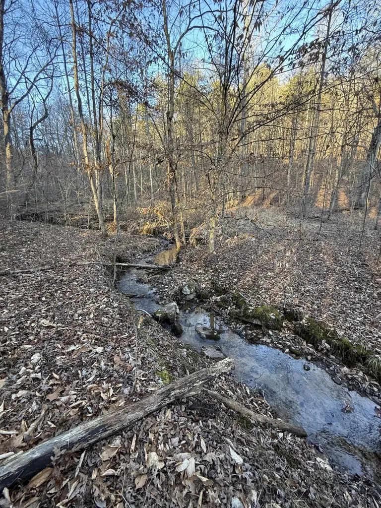 9991 Red Hill Road Livingston KY 40445