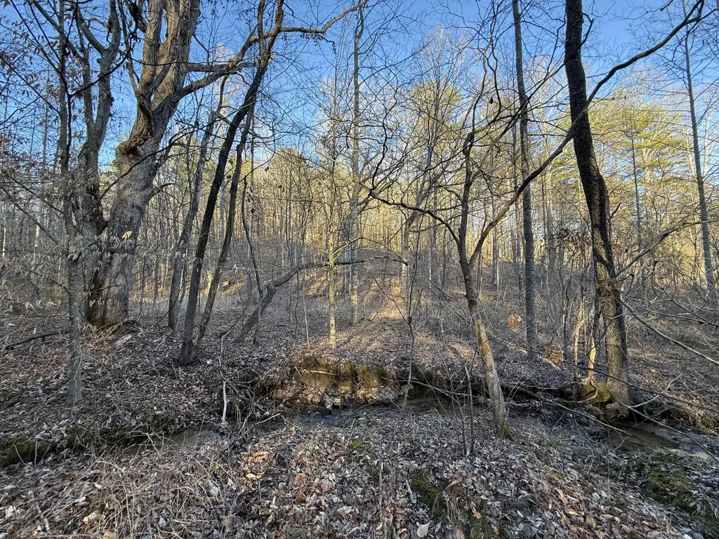 9991 Red Hill Road Livingston KY 40445