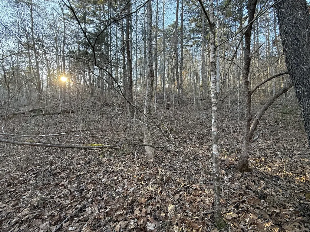 9991 Red Hill Road Livingston KY 40445