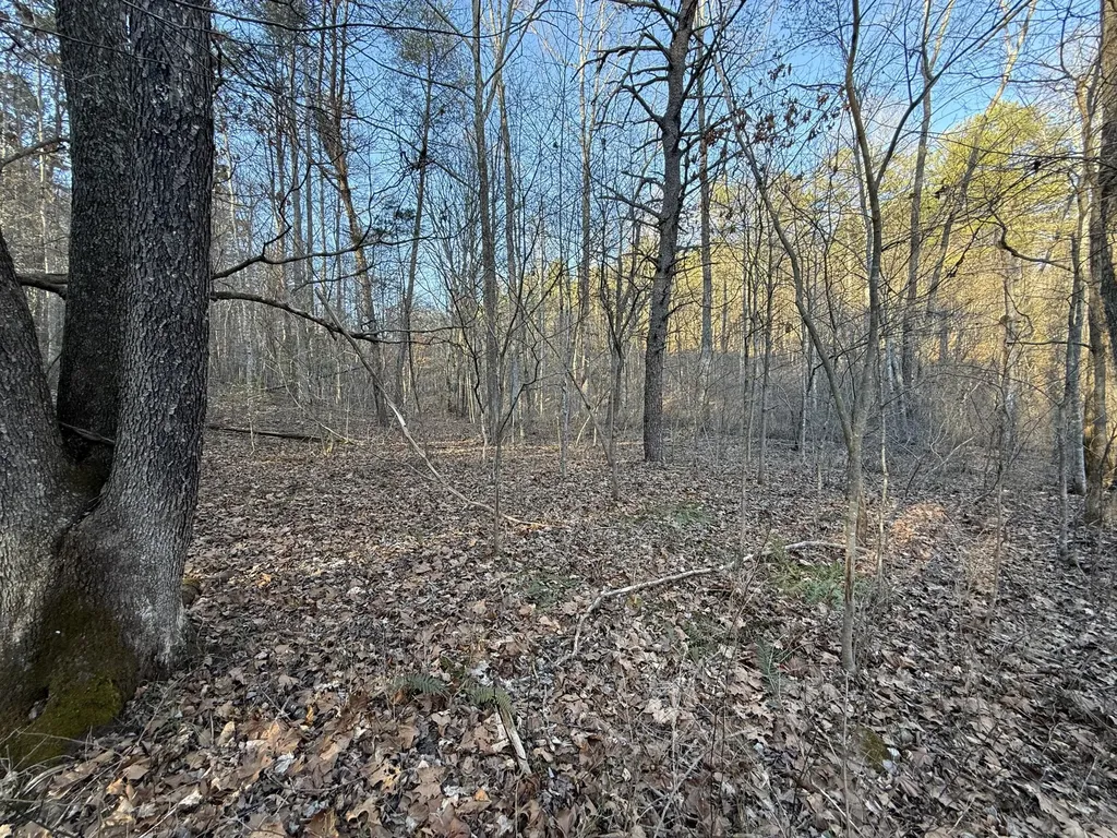 9991 Red Hill Road Livingston KY 40445