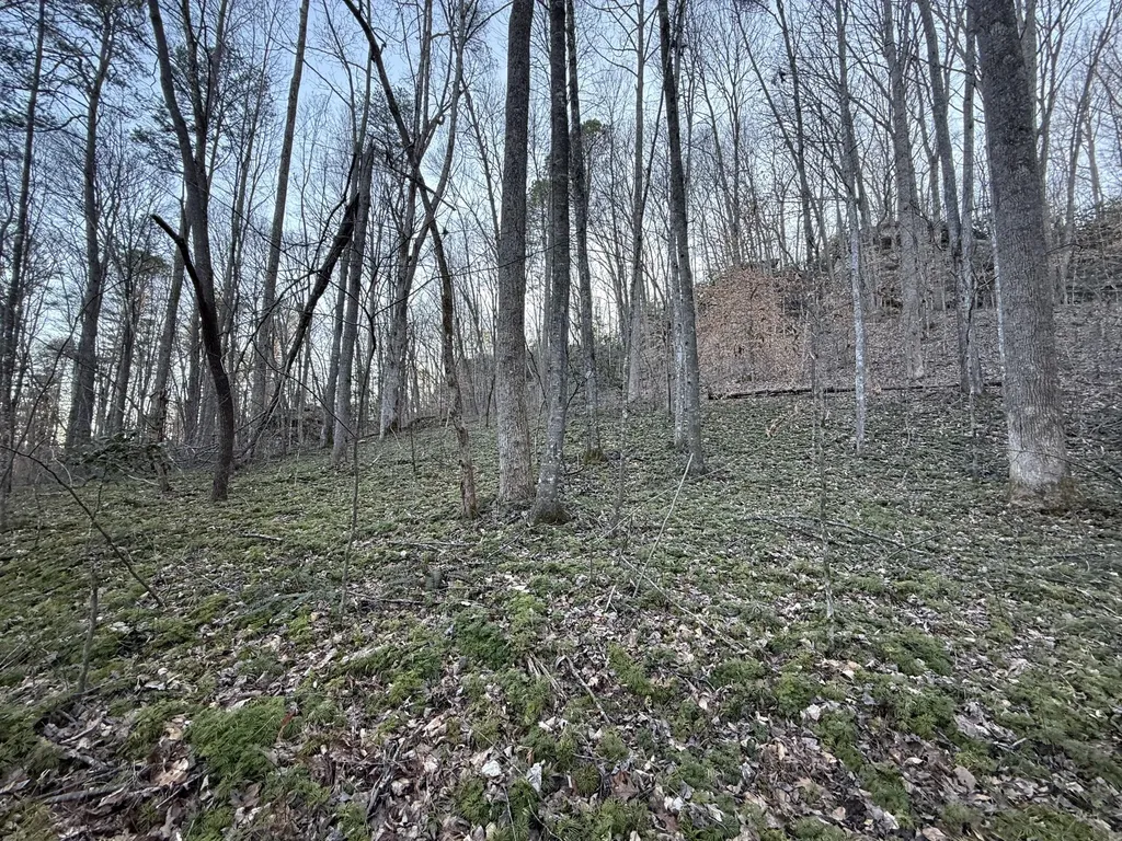 9991 Red Hill Road Livingston KY 40445
