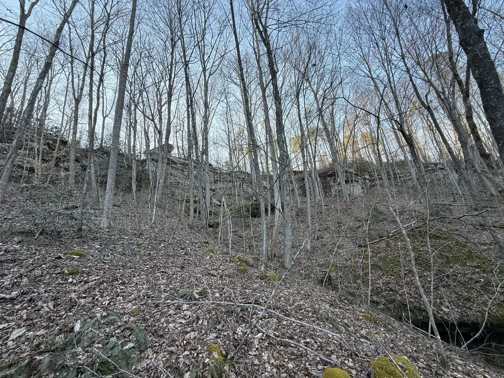 9991 Red Hill Road Livingston KY 40445