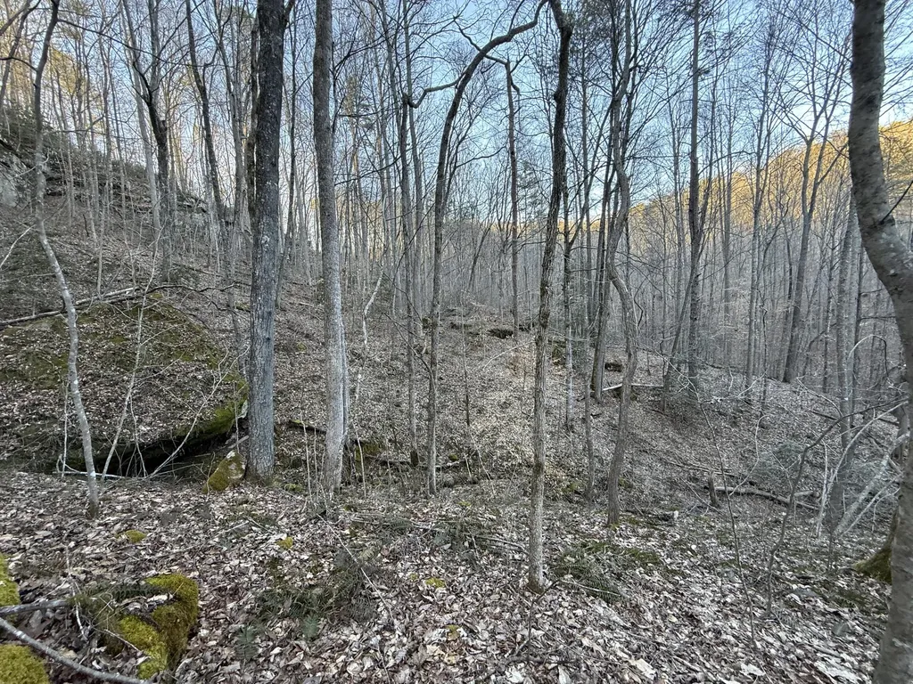 9991 Red Hill Road Livingston KY 40445