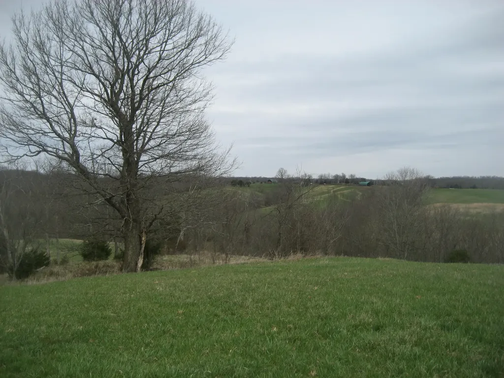 0000 N North Rays Fork Road Sadieville KY 40370