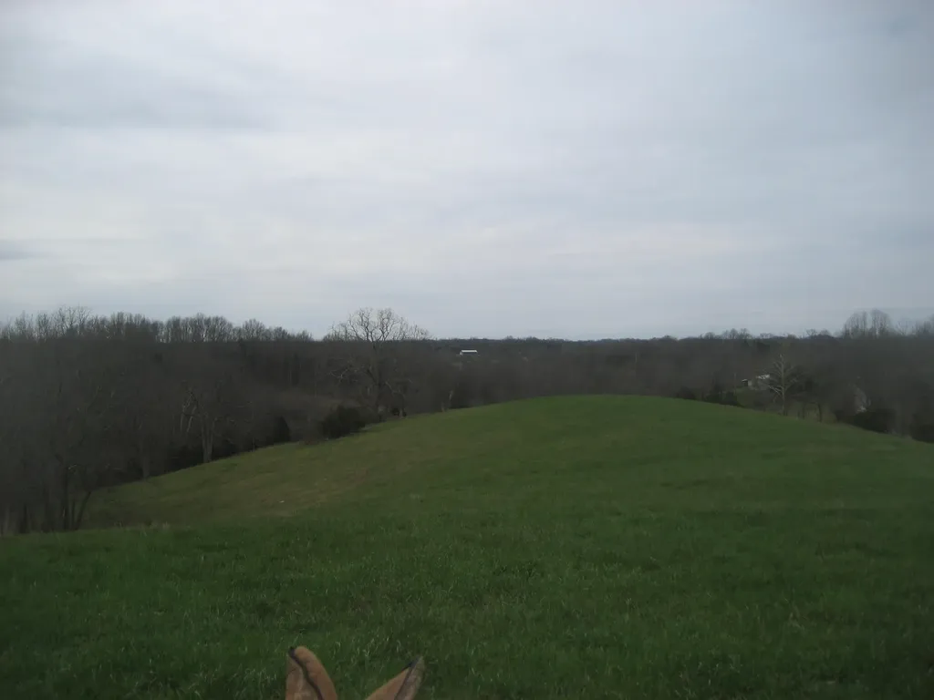 0000 N North Rays Fork Road Sadieville KY 40370