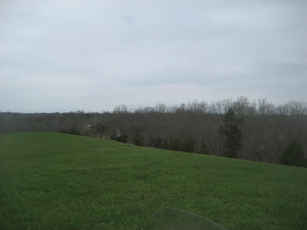 0000 N North Rays Fork Road Sadieville KY 40370