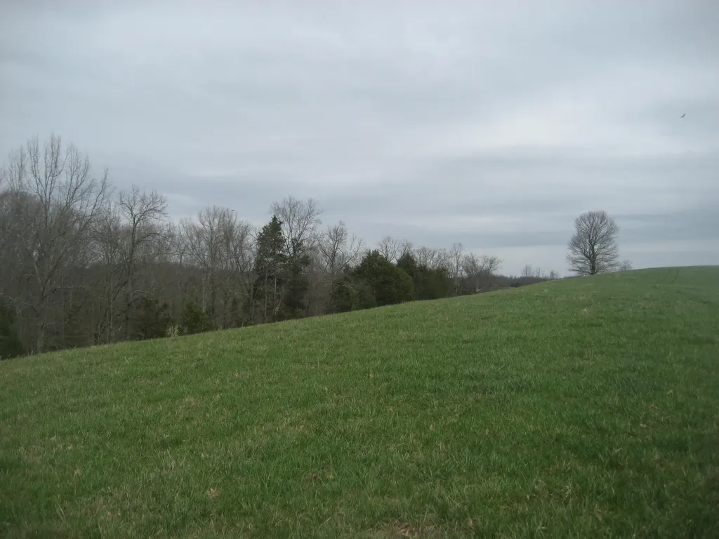 0000 N North Rays Fork Road Sadieville KY 40370