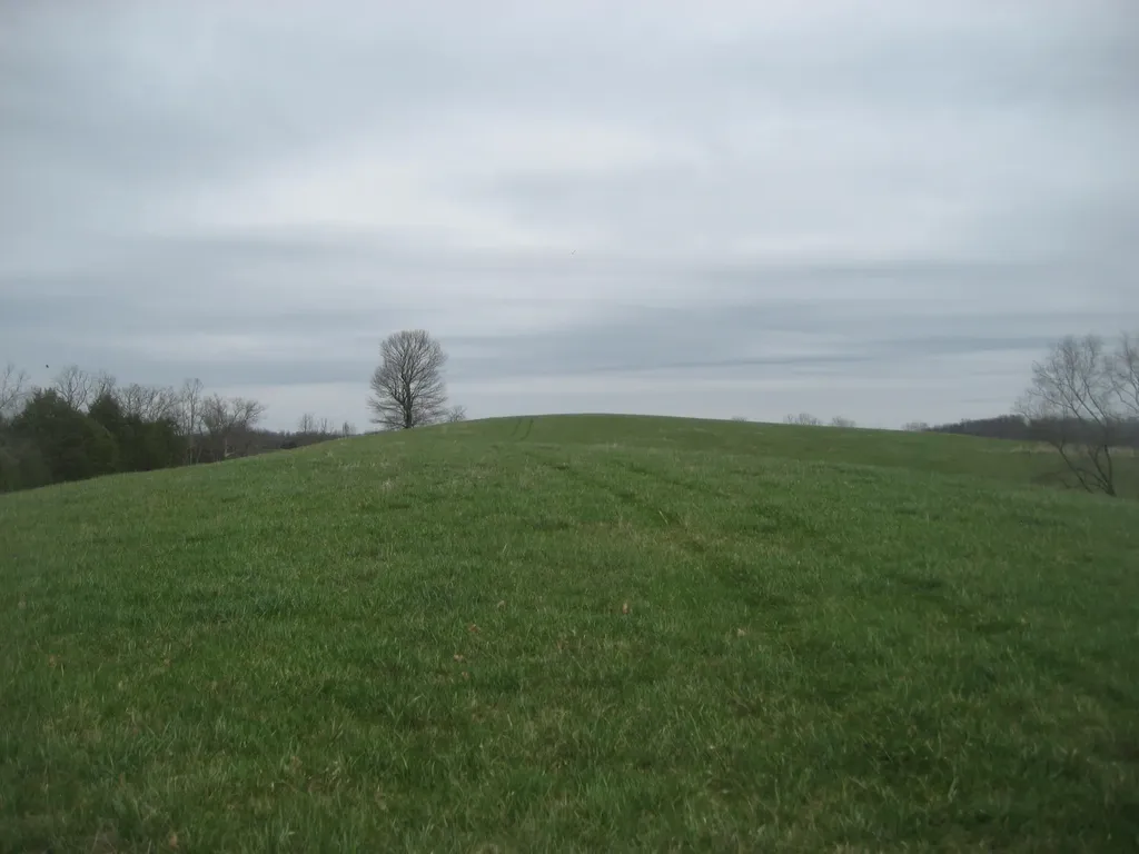 0000 N North Rays Fork Road Sadieville KY 40370