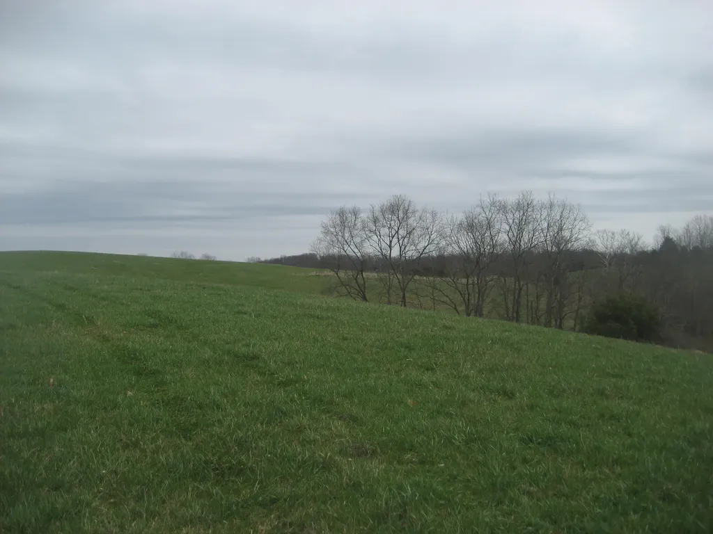 0000 N North Rays Fork Road Sadieville KY 40370