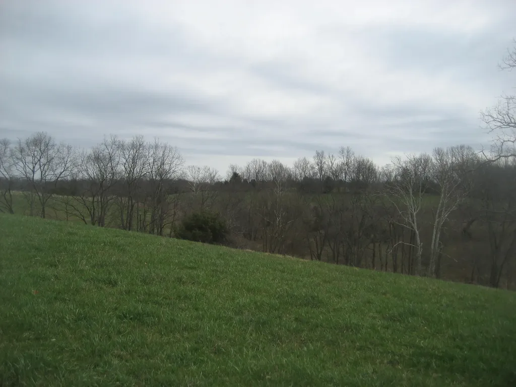 0000 N North Rays Fork Road Sadieville KY 40370