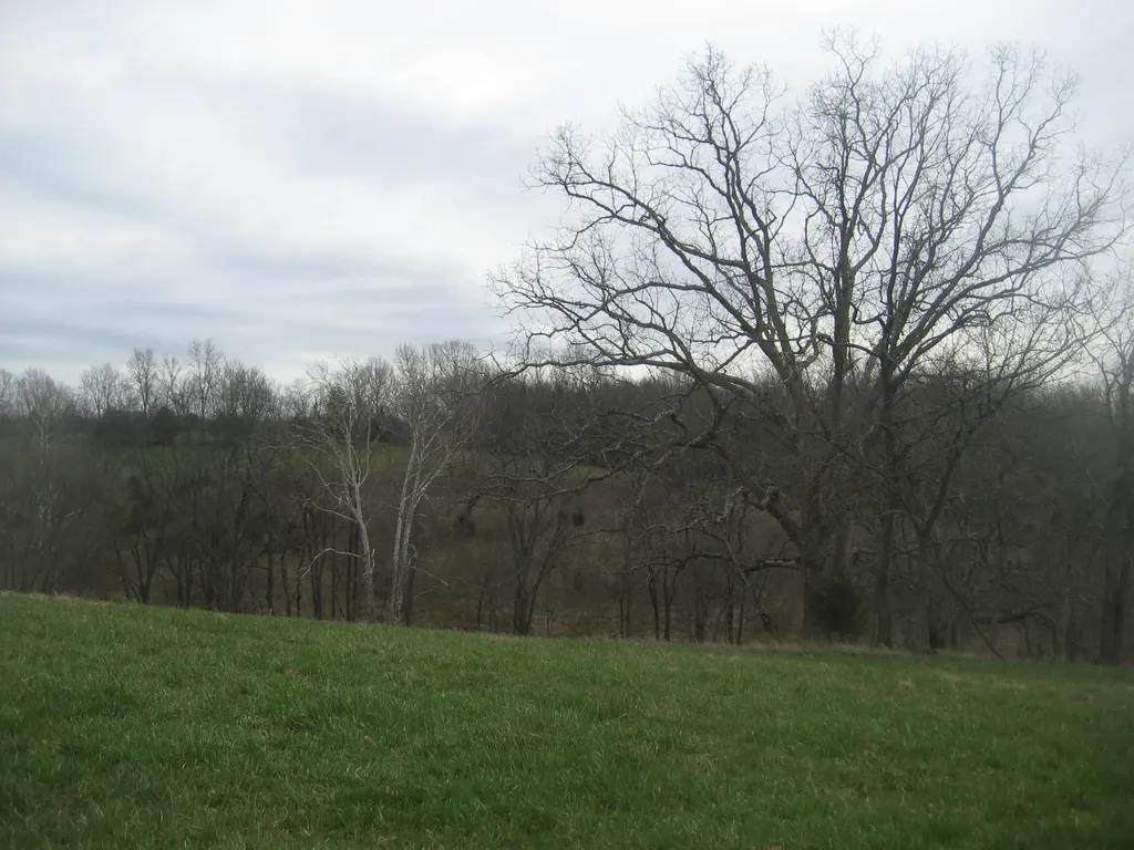 0000 N North Rays Fork Road Sadieville KY 40370