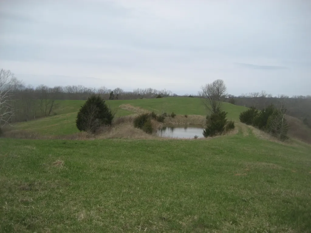 0000 N North Rays Fork Road Sadieville KY 40370