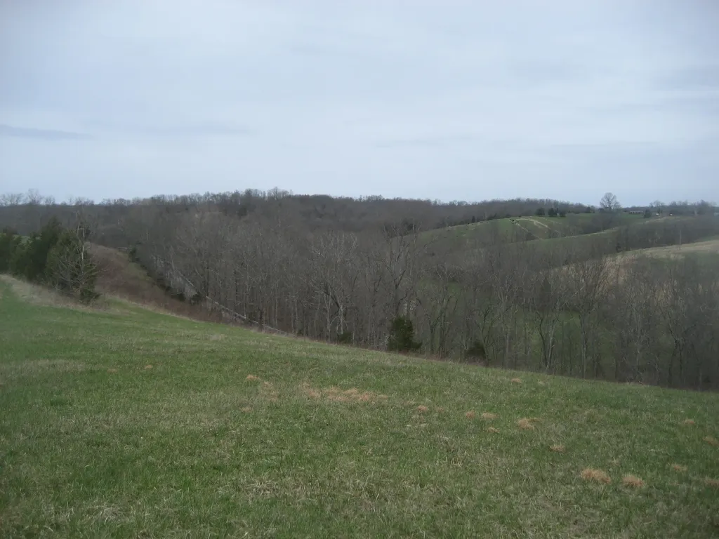 0000 N North Rays Fork Road Sadieville KY 40370