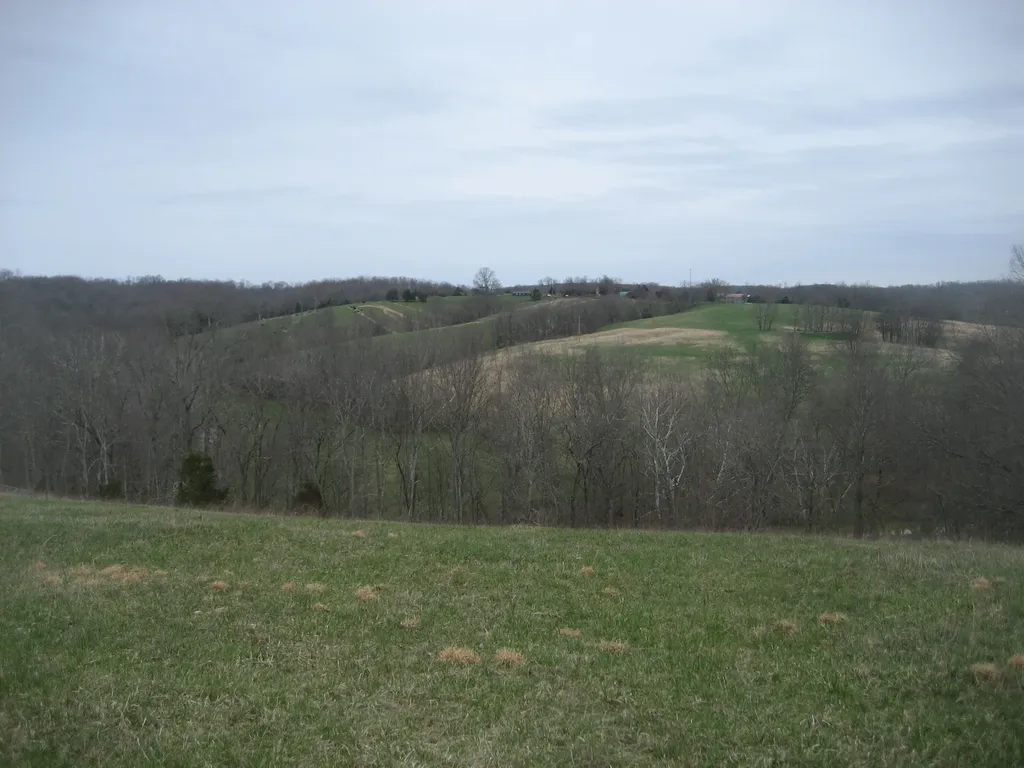 0000 N North Rays Fork Road Sadieville KY 40370