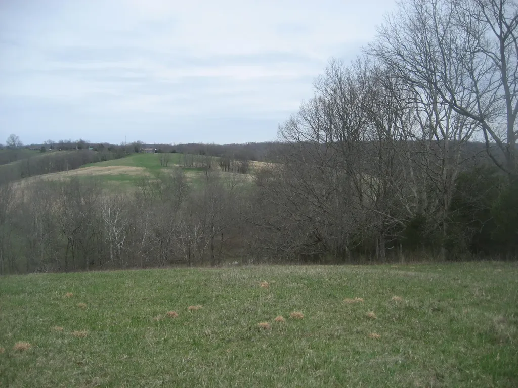 0000 N North Rays Fork Road Sadieville KY 40370