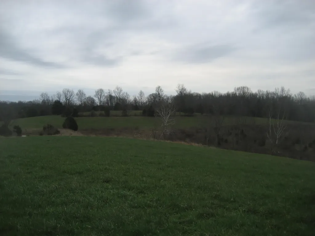 0000 N North Rays Fork Road Sadieville KY 40370