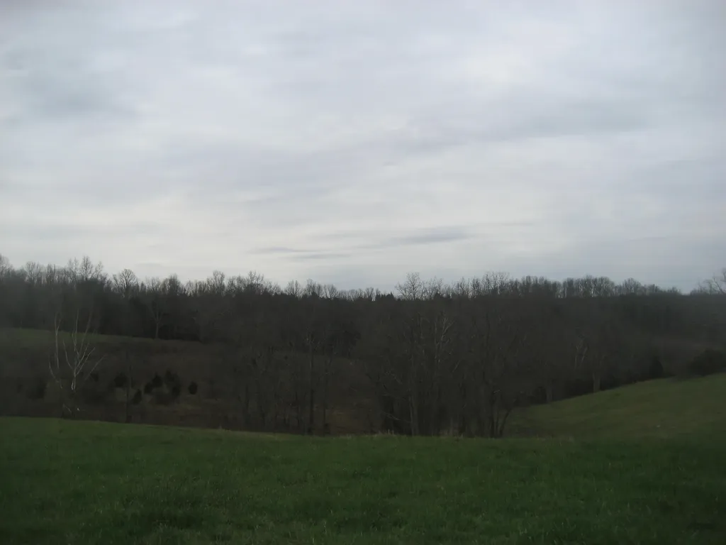 0000 N North Rays Fork Road Sadieville KY 40370