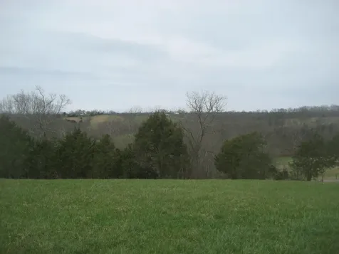 0000 N North Rays Fork Road Sadieville KY 40370