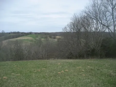0000 N North Rays Fork Road Sadieville KY 40370