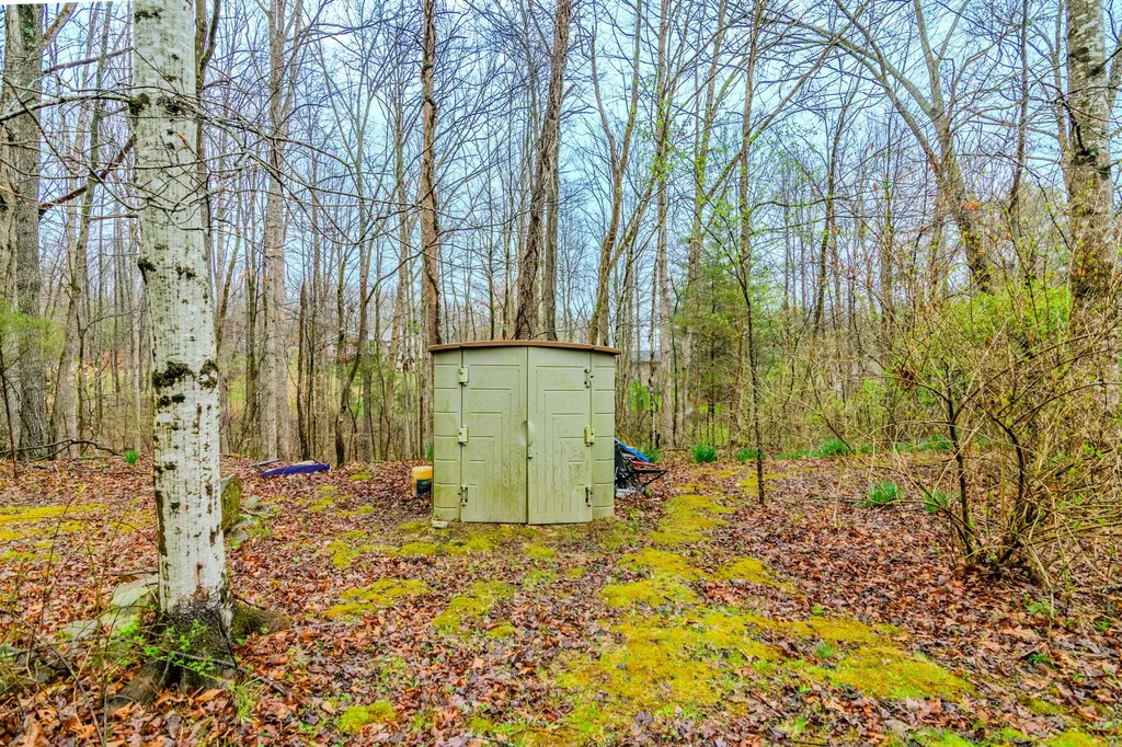 1667 Jackson Drive Morehead KY 40351