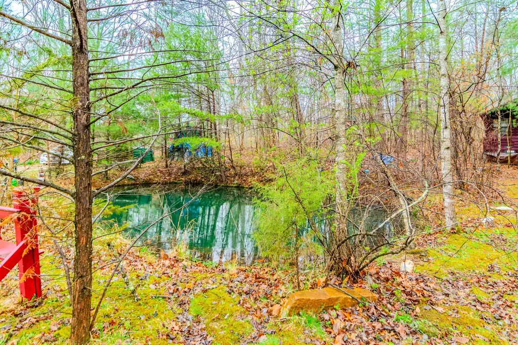 1667 Jackson Drive Morehead KY 40351