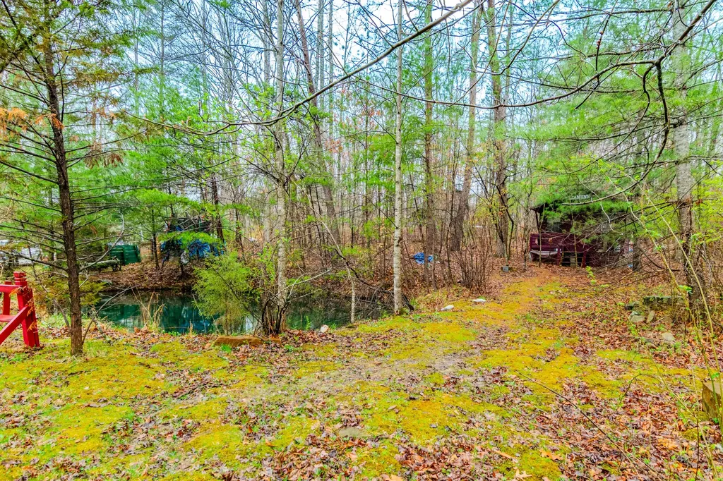 1667 Jackson Drive Morehead KY 40351