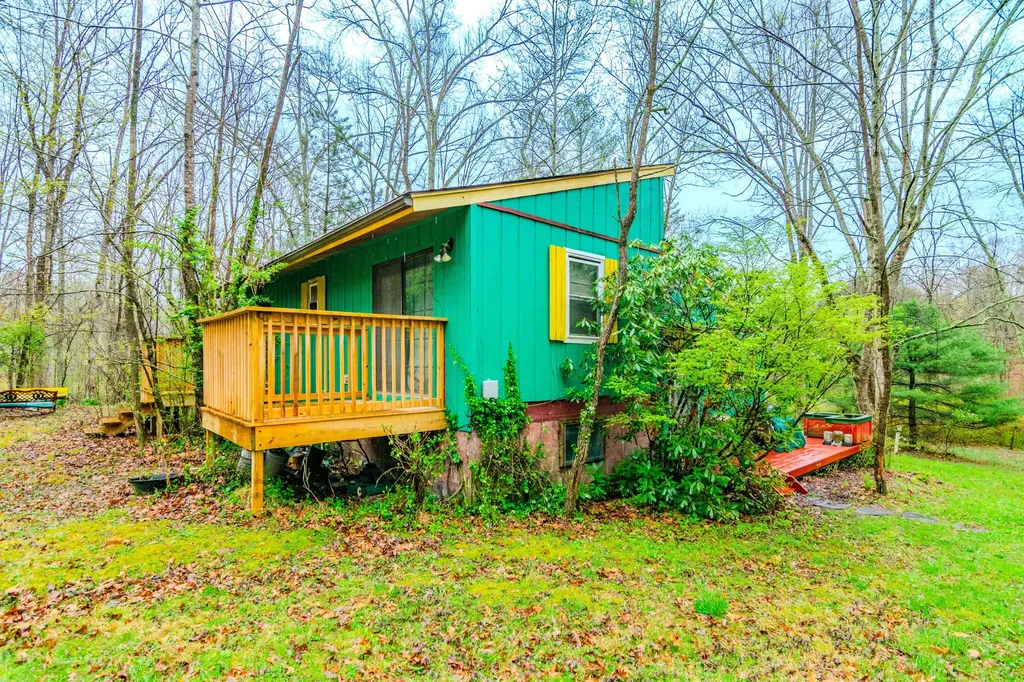 1667 Jackson Drive Morehead KY 40351