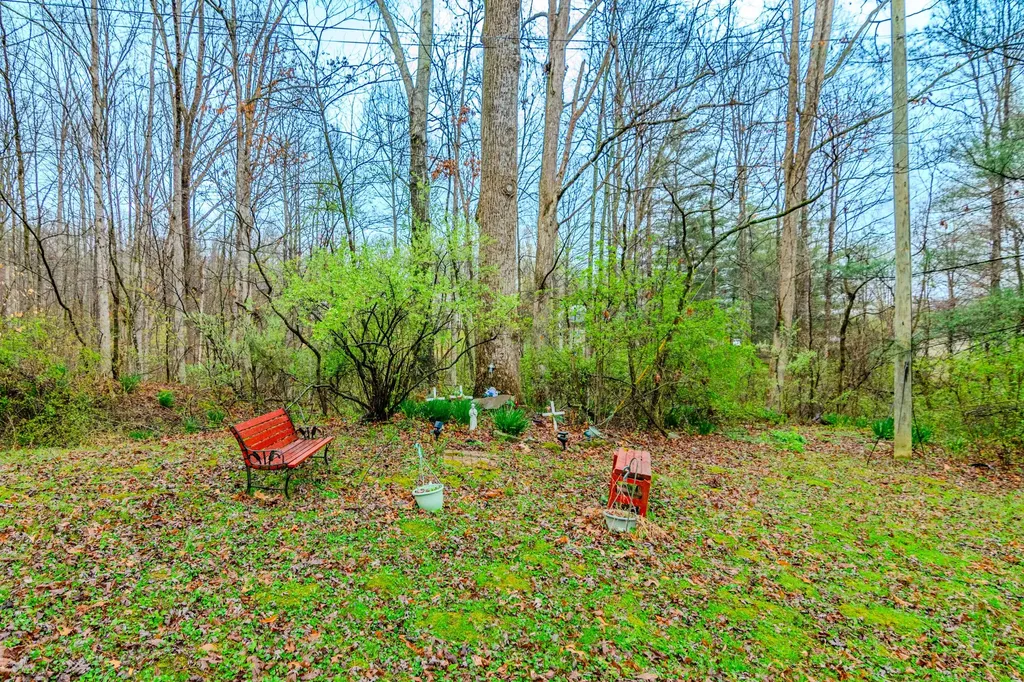 1667 Jackson Drive Morehead KY 40351