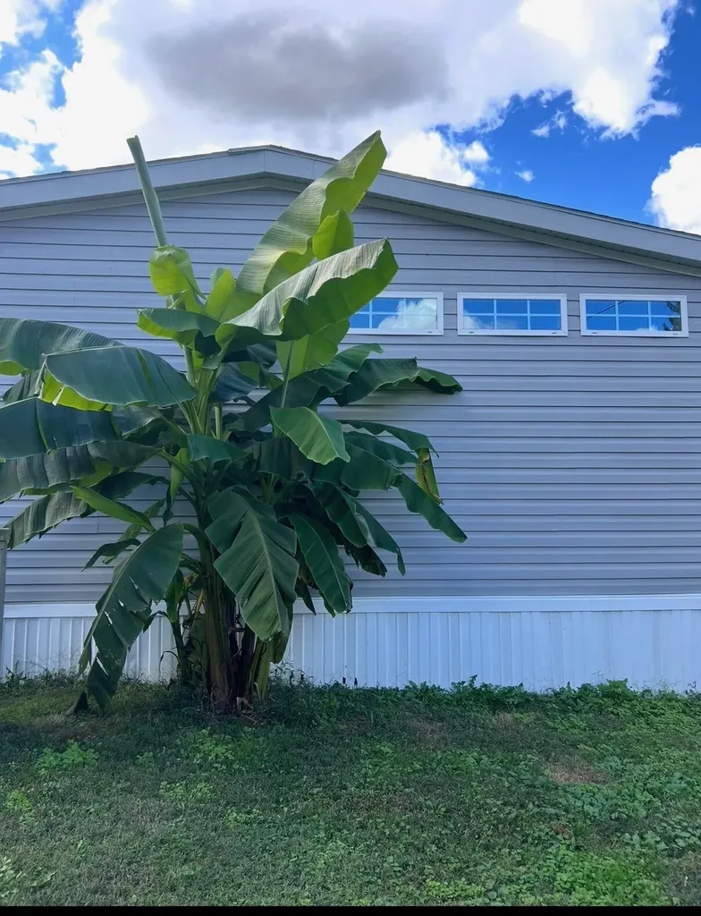 552 D Anders Road London KY 40744