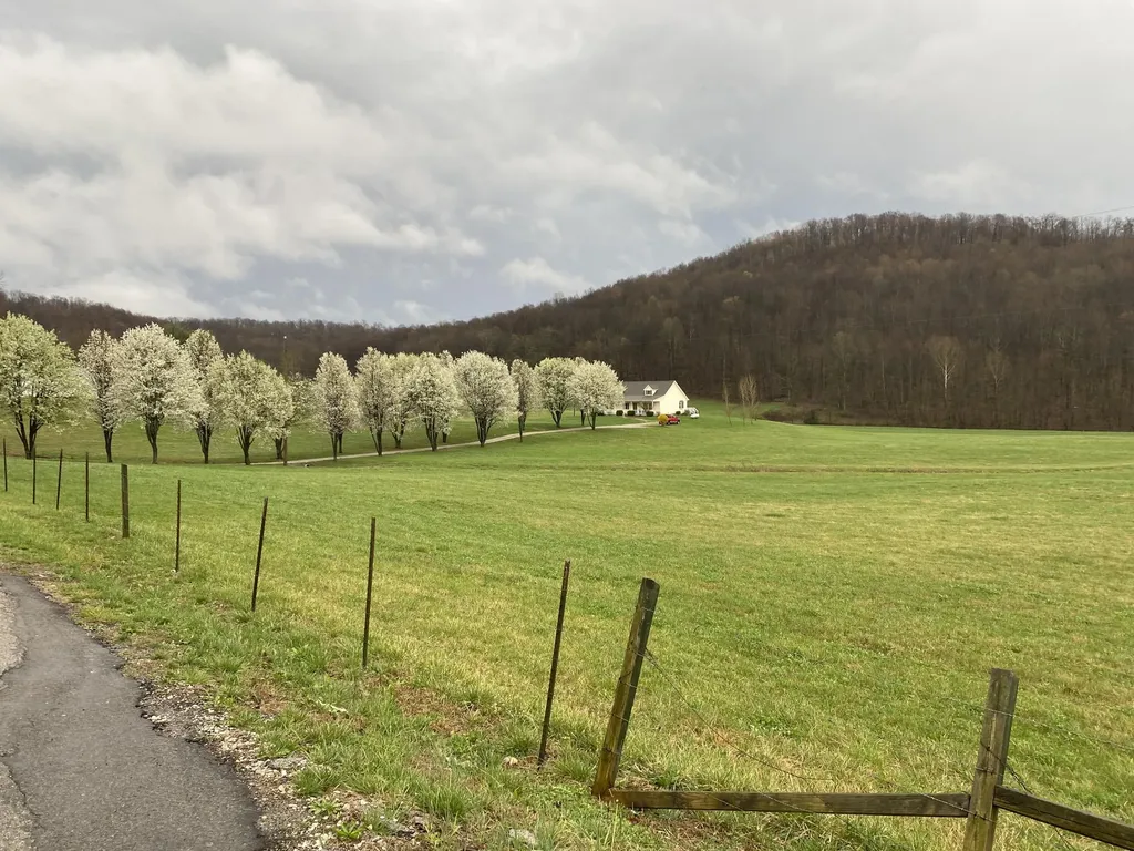 54 Jess Crisswell Road Monticello KY 42633