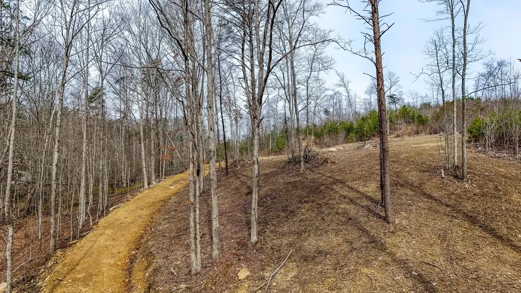 3279 Hazel Patch Road East Bernstadt KY 40729