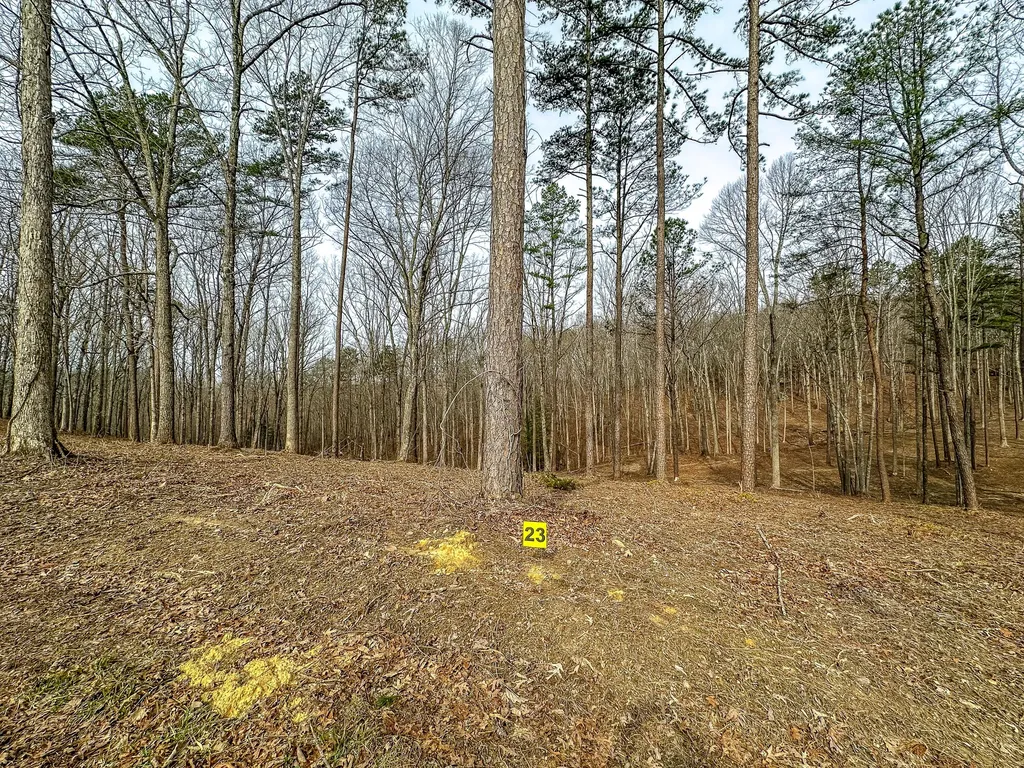 3972 Hazel Patch Road East Bernstadt KY 40729