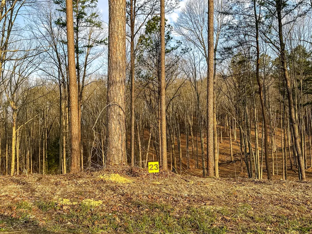 3972 Hazel Patch Road East Bernstadt KY 40729