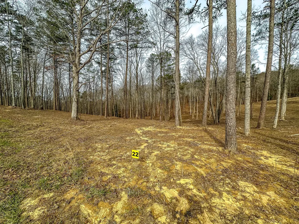 3977 Hazel Patch Road East Bernstadt KY 40729