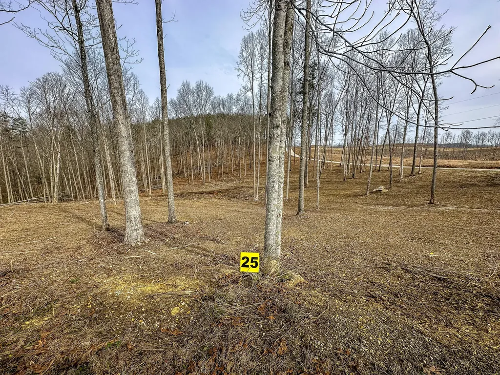 3689 Hazel Patch Road East Bernstadt KY 40729