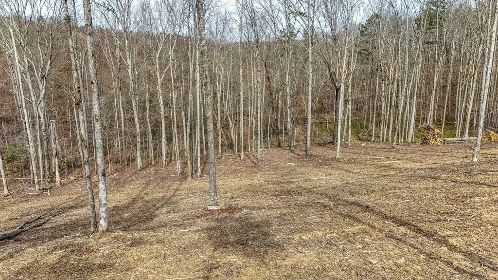 3689 Hazel Patch Road East Bernstadt KY 40729