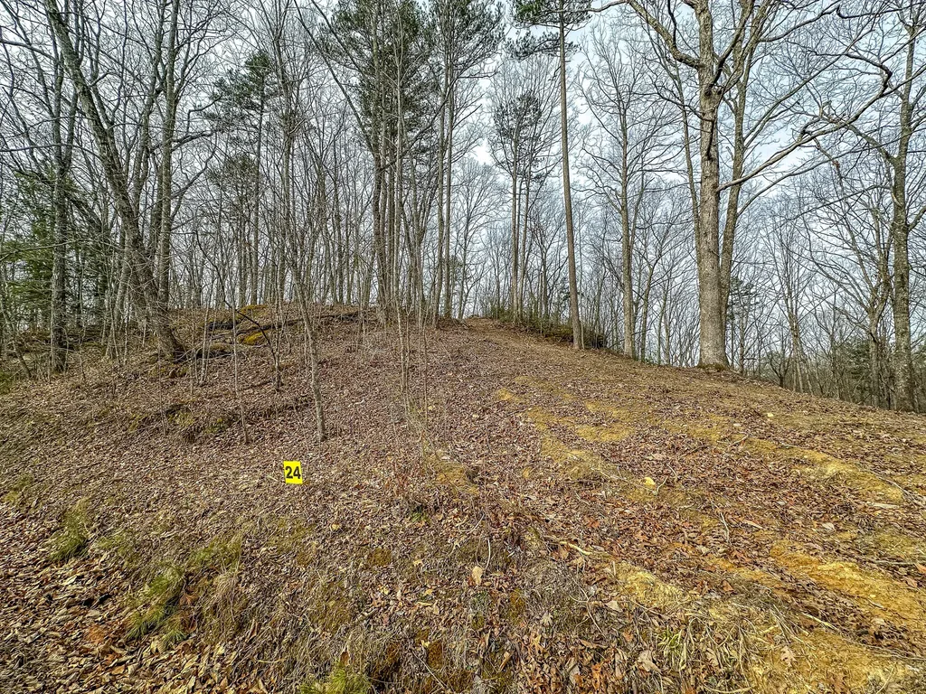 3967 Hazel Patch Road East Bernstadt KY 40729