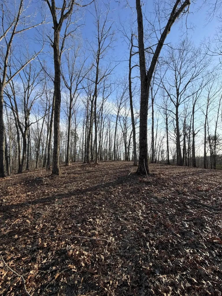 3967 Hazel Patch Road East Bernstadt KY 40729