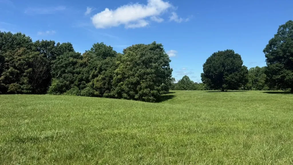 97 Paradise Alley Russell Springs KY 42642