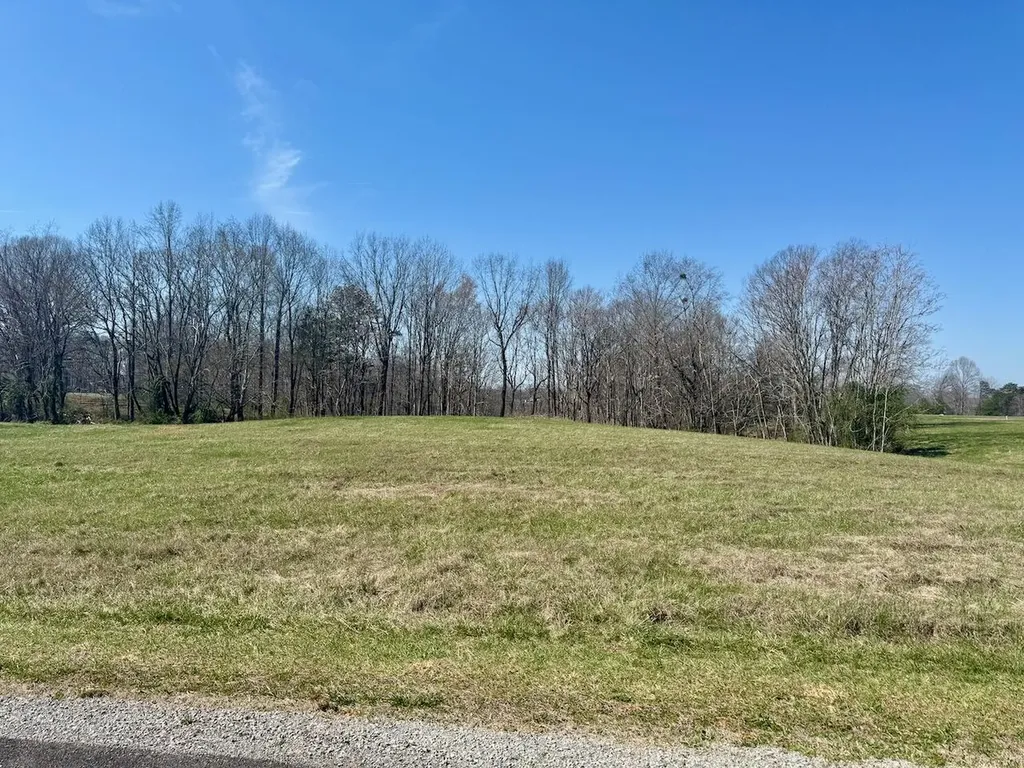 97 Paradise Alley Russell Springs KY 42642