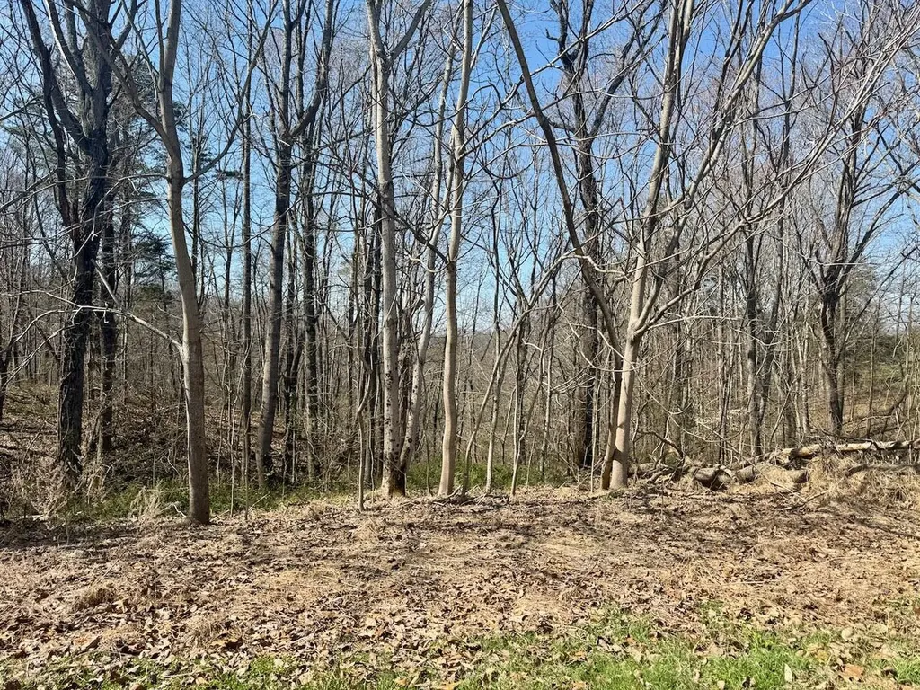 97 Paradise Alley Russell Springs KY 42642