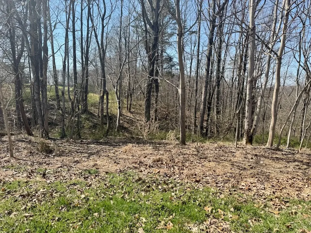 97 Paradise Alley Russell Springs KY 42642
