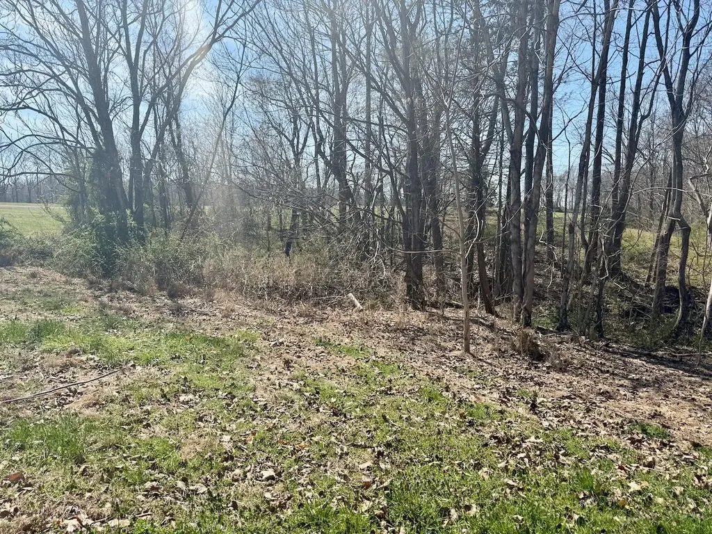 97 Paradise Alley Russell Springs KY 42642