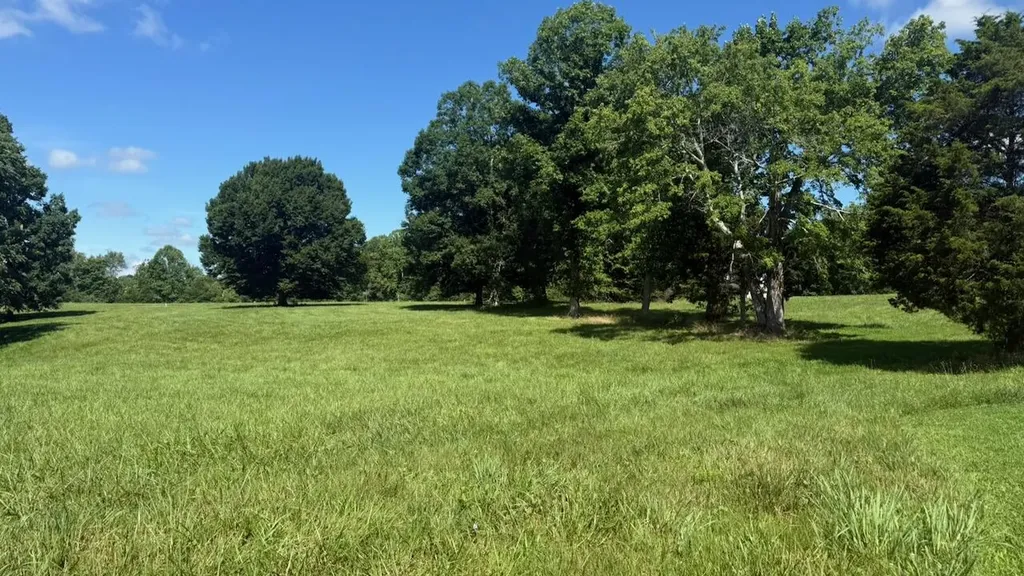 97 Paradise Alley Russell Springs KY 42642
