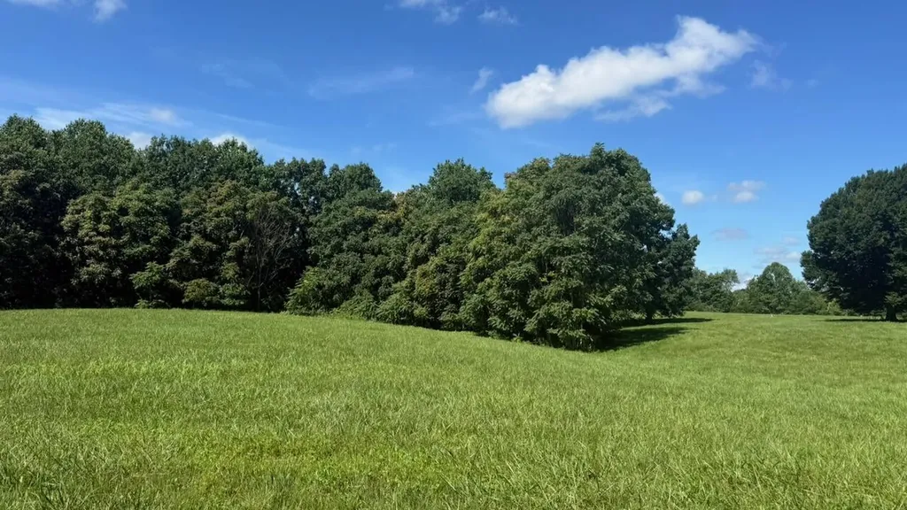 97 Paradise Alley Russell Springs KY 42642