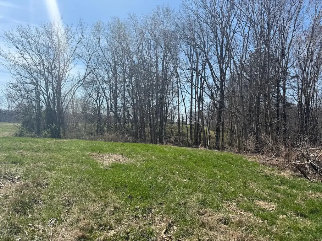 97 Paradise Alley Russell Springs KY 42642